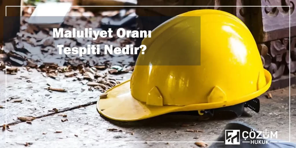 İş Kazası Maluliyet Oranı Tespiti 1 Maluliyet Oranı Tespiti Nedir?