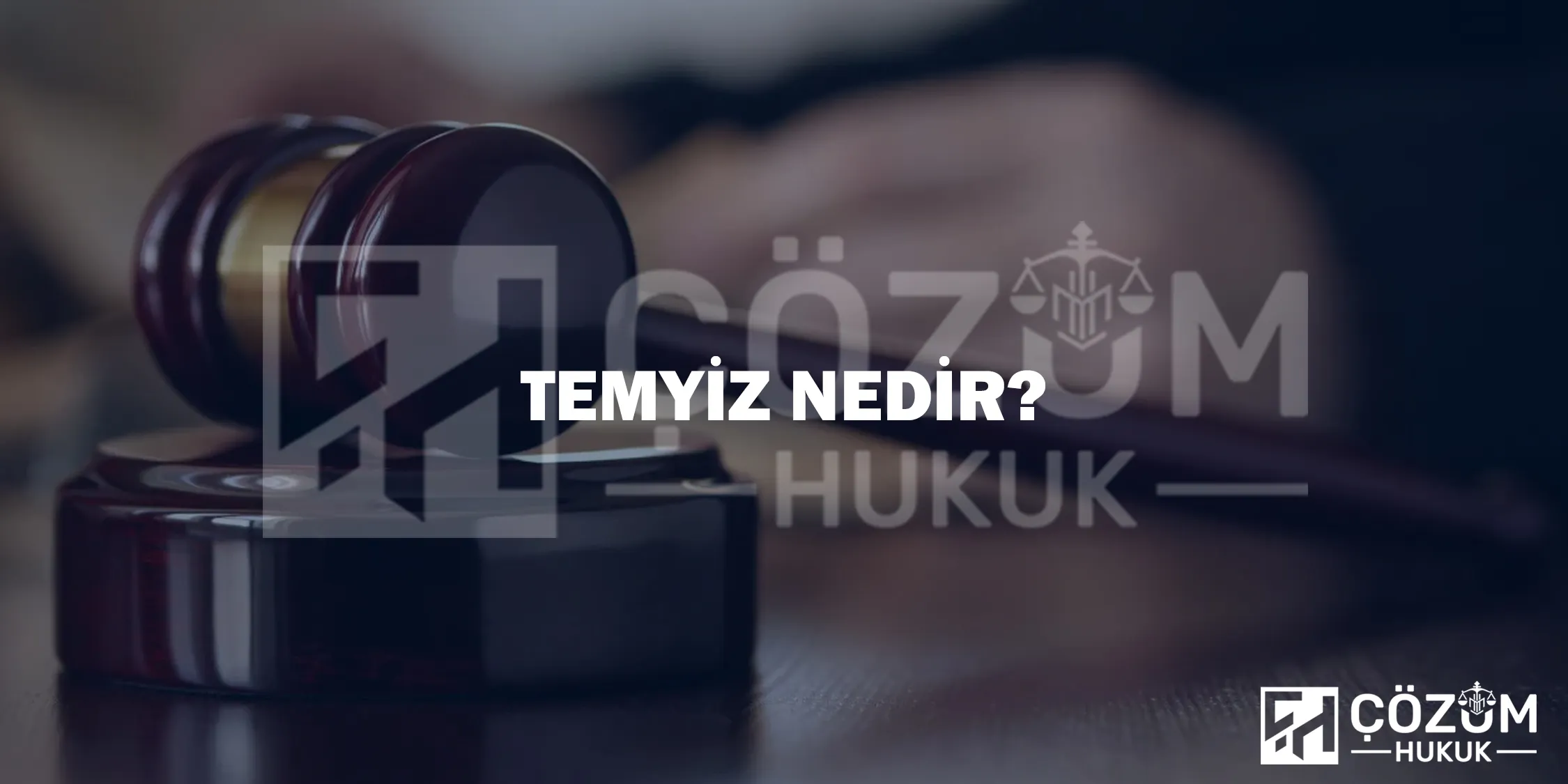 Makaleler 3 Temyiz Nedir?