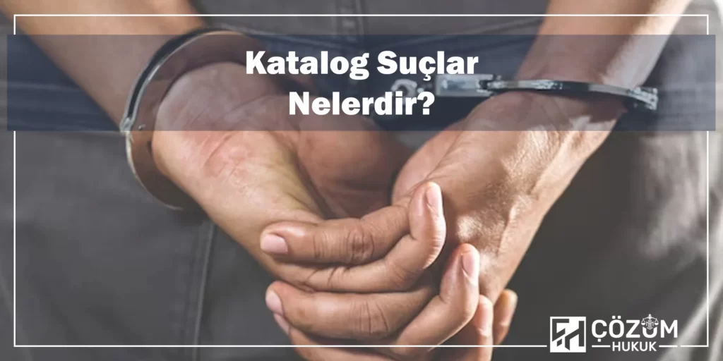 Ceza Aldım Ne Kadar Yatarım? 2 Katalog Suçlar Nelerdir?